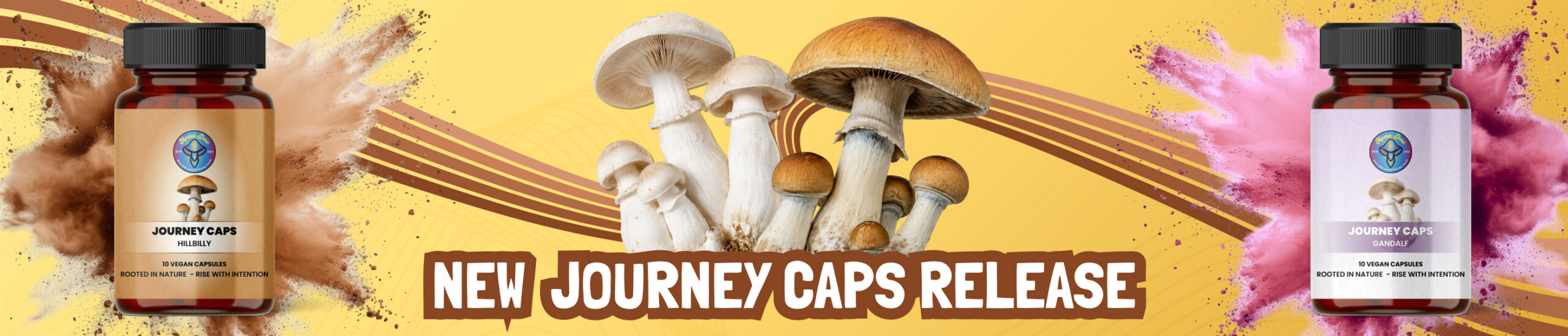 hillbilly and gandalf launch web banner 1 scaled