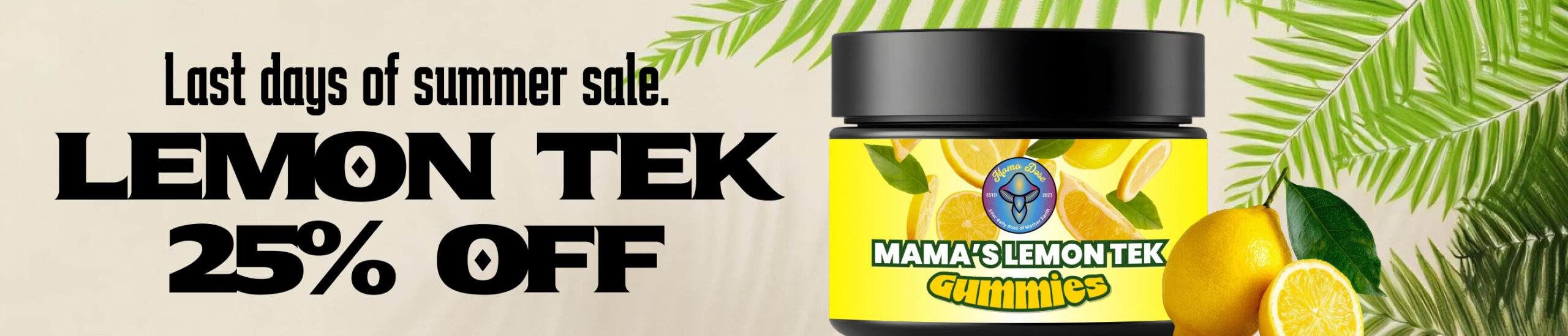 lemon tek 25 off web banner 1 scaled