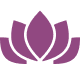 pinhead lotus flower
