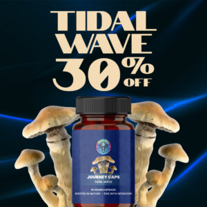 tidal wave 30 off 1 1 banner
