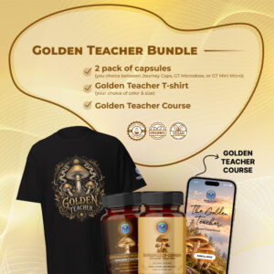 GT bundle launch 1 1 banner