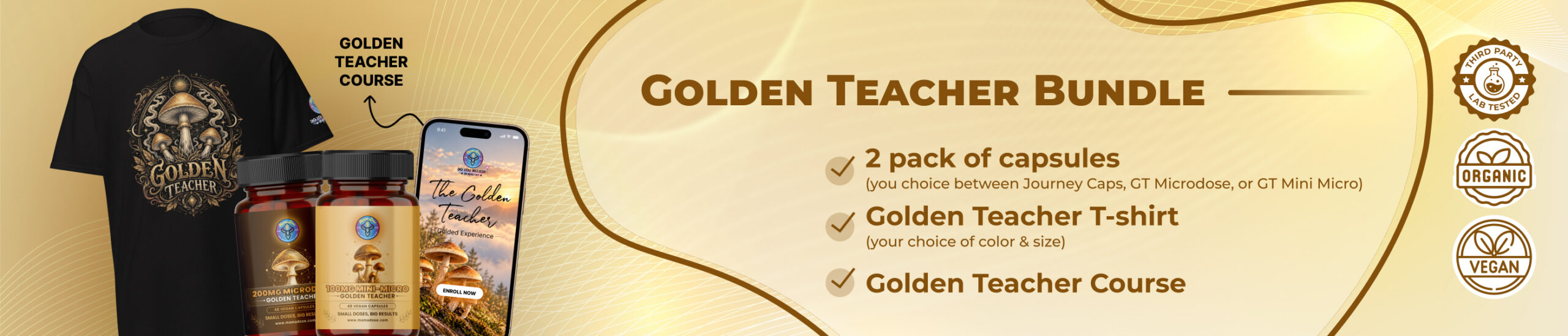 GT bundle launch web banner scaled