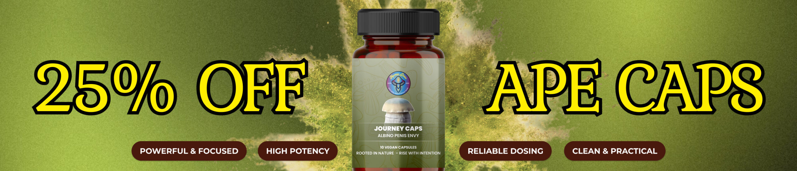 ape 25 off web banner scaled