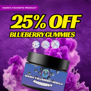 blueberry 25 off 1 1 banner
