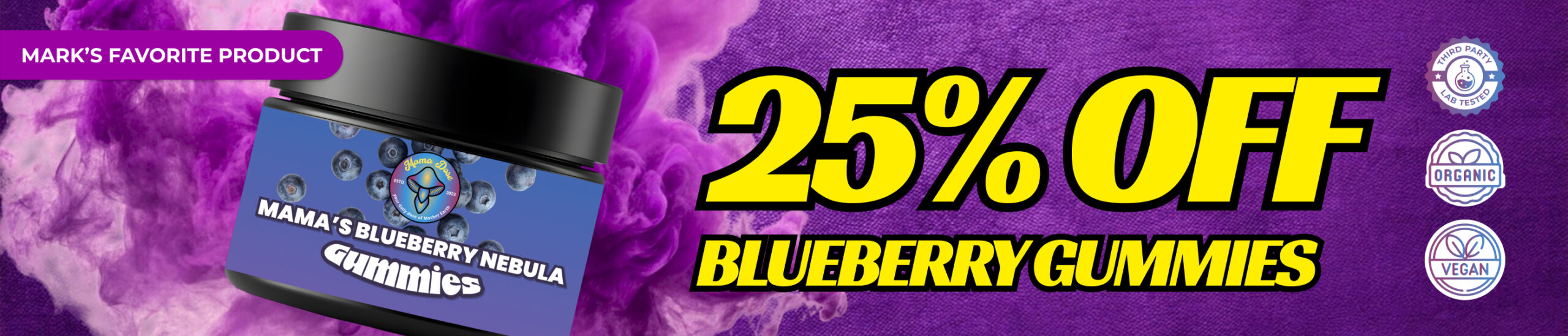 blueberry 25 off web banner scaled