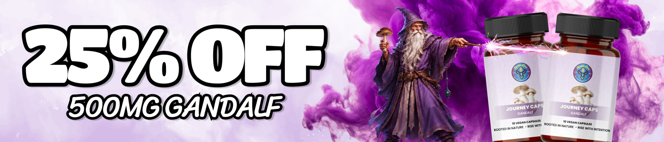 gandalf 25 off web banner scaled