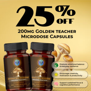 gt microdose 25 off 1 1 banner