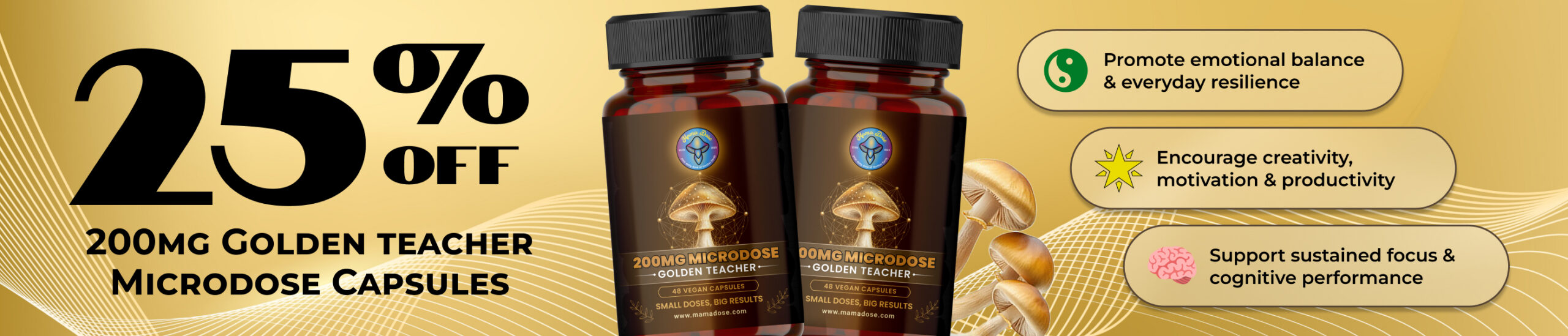 gt microdose 25 off web banner scaled