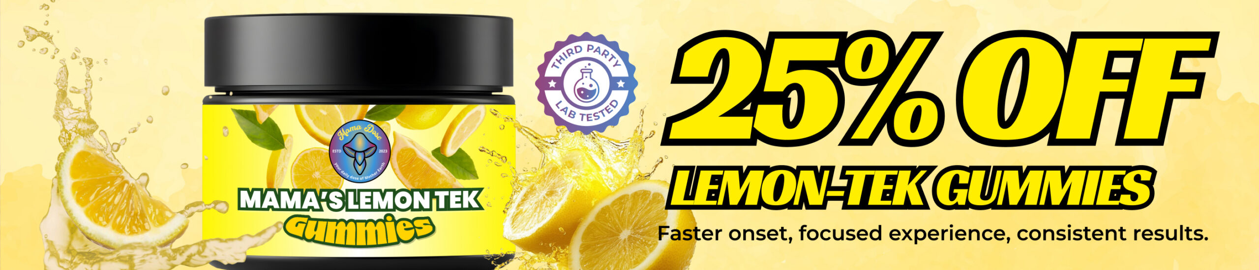 lemon tek 25 off web banner 2 scaled