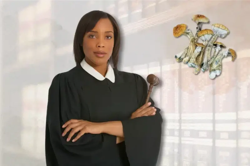 a lawyer and magic mushrooms depicting psilocybin legal status