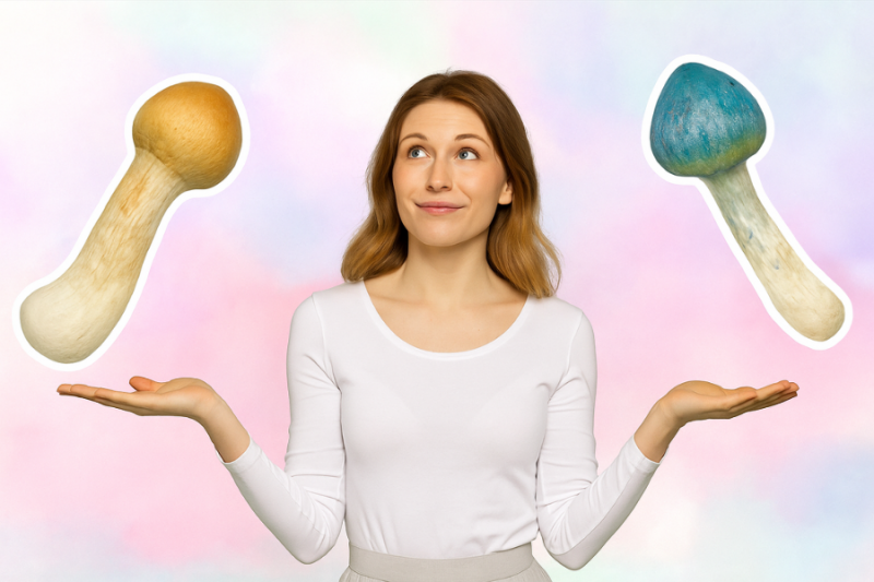 A woman in a white long-sleeve shirt and gray skirt stands with her hands outstretched, holding a stylized Bluey Vuitton mushroom with a vibrant blue cap in one hand and a Penis Envy mushroom with a thick, brownish cap in the other, set against a colorful pastel background, symbolizing a thoughtful comparison between the two psychedelic strains.
