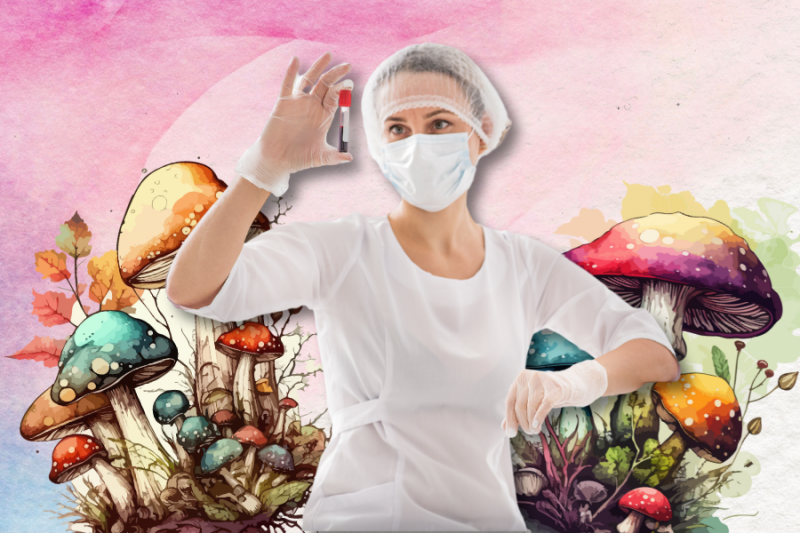 A person in a lab coat and mask examines a test tube against a background of colorful illustrated mushrooms depicting how long do shrooms stay in your system